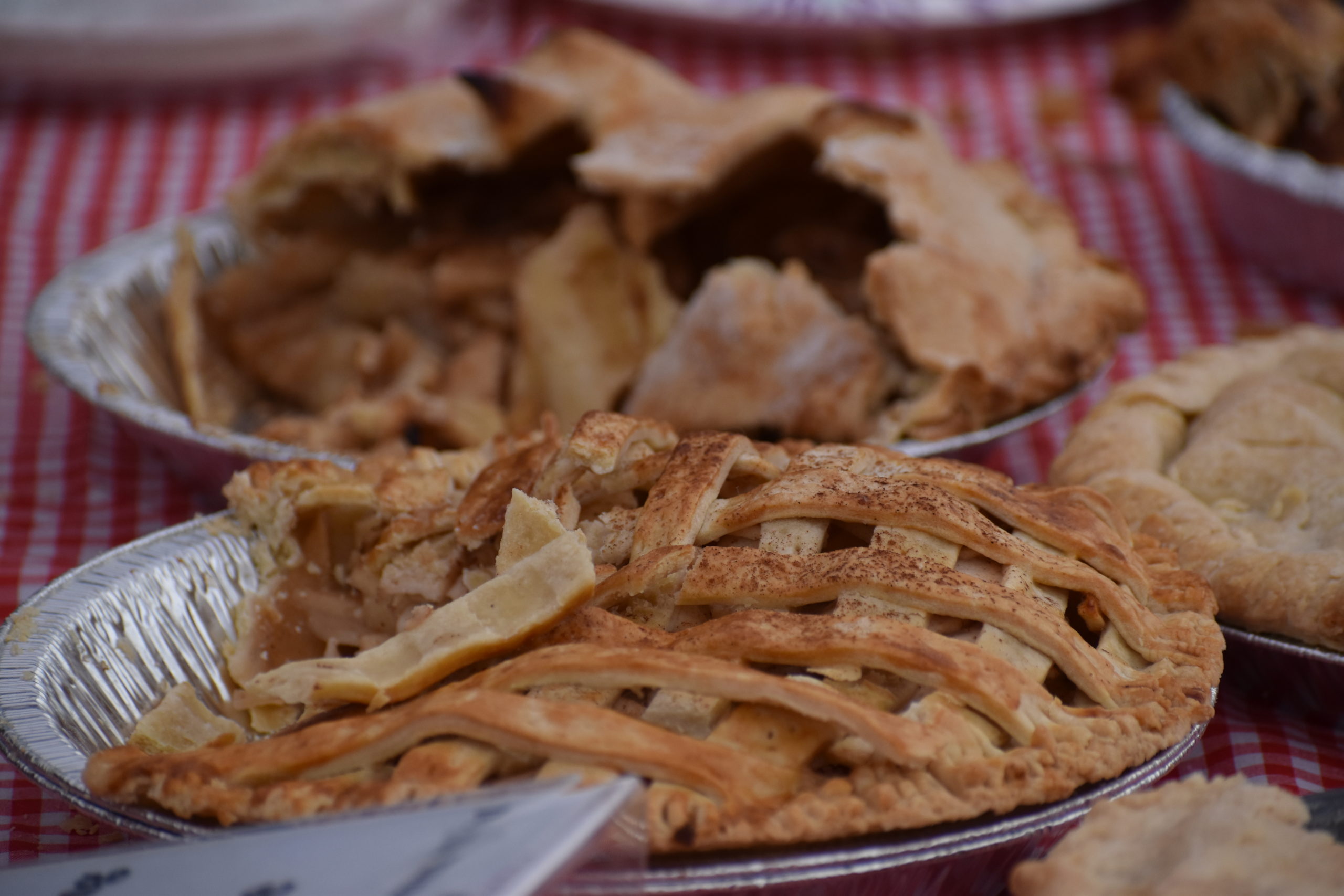 DSC_0224 Warwick Applefest